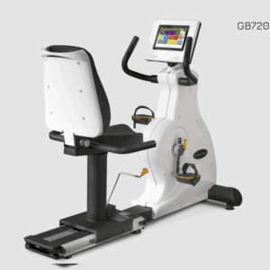Rower Poziomy GB7201 TFT 10,1" Body Charger